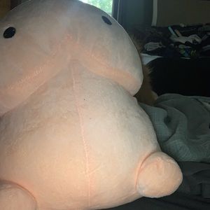 Meet your Posher, Casey